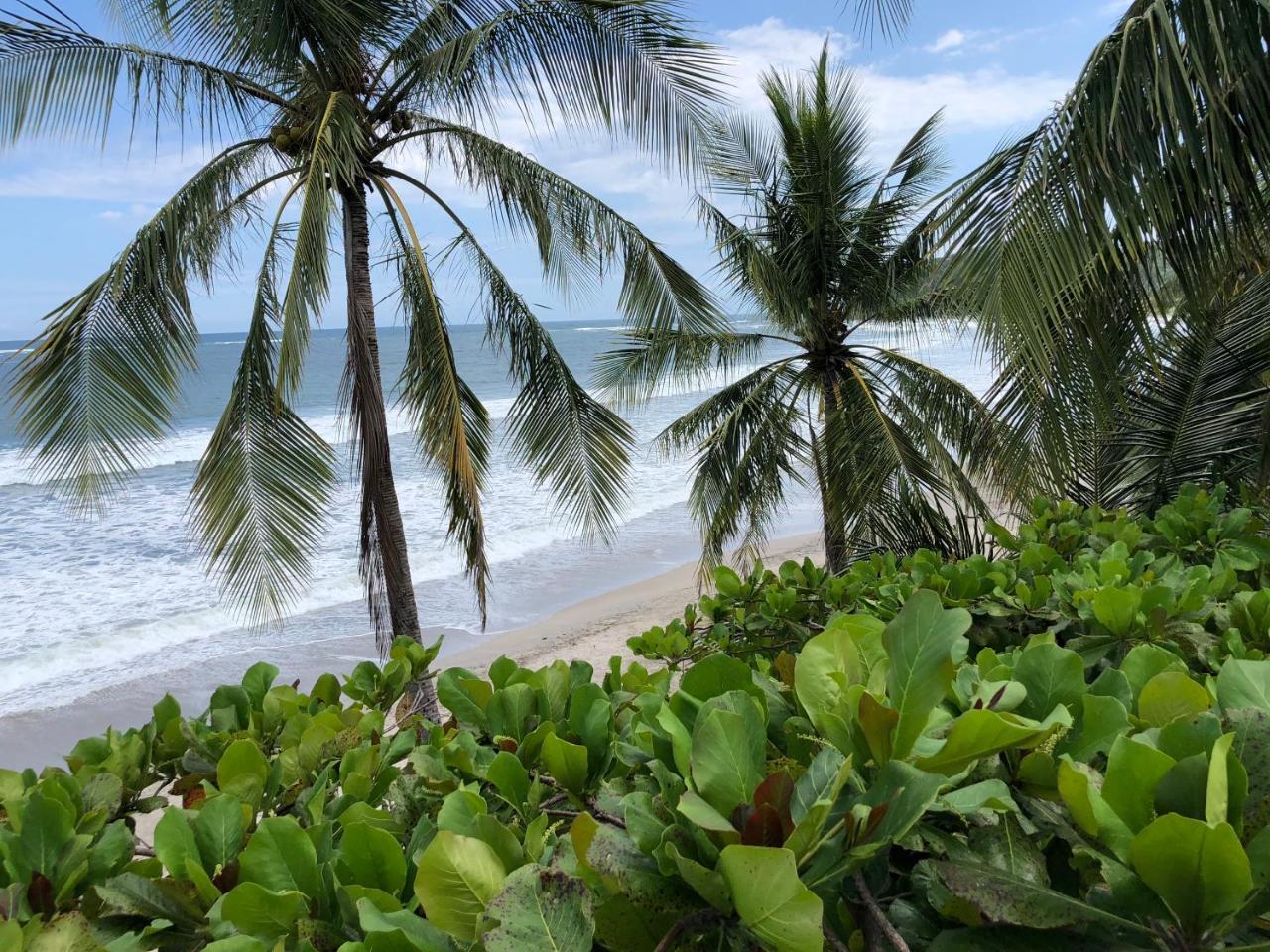 Macao Beach Sámara Extérieur photo